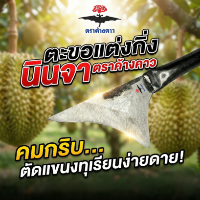 ตะขอ เเต่งกิ่ง นินจา