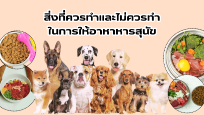เล่าเรื่องน้อง (น้องหมา) เรื่องที่ 2 สิ่งที่ควรทำและไม่ควรทำในการให้อาหาหารสุนัข