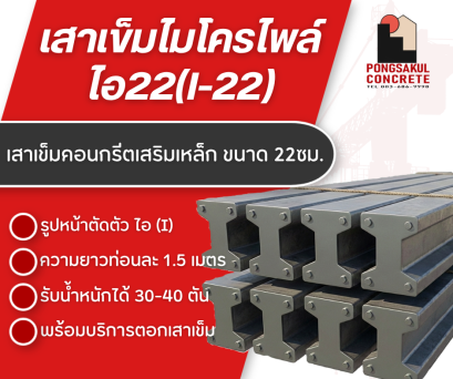 ไมโครไพล์ ไอ 22 ยาว 1.5 เมตร (Micropile)