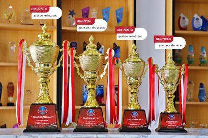 ถ้วยรางวัลโลหะ