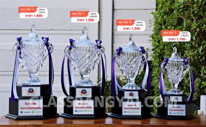 ถ้วยรางวัลแก้วคริสตัลฐานไม้