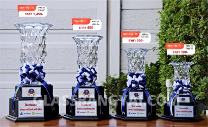 ถ้วยรางวัลแก้วคริสตัลฐานไม้