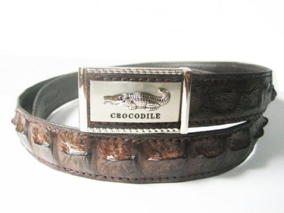 Men Genuine Crocodile Belt in Dark Brown Crocodile Leather  #CRM638B-04