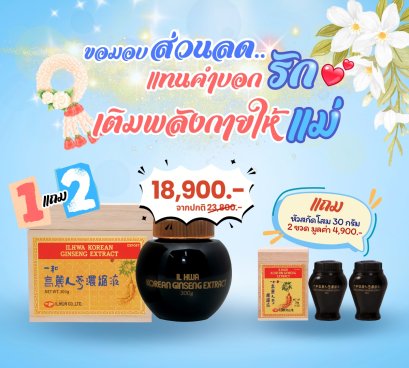 Pro 08(copy)