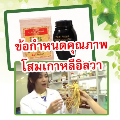 ข้อกำหนดคุณภาพโสมเกาหลีอิลวา