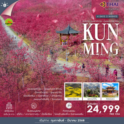 ทัวร์คุณธรรม คุนหมิง หุบเขาซากุระ ทุ่งดอกมัสตาร์ด 4 วัน 3 คืน โดยสายการบิน THAI AIRWAYS (TG) (FEB-MAR25)