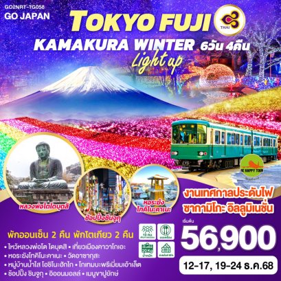 TOKYO FUJI KAMAKURA WINTER LIGHT UP 6 วัน 4 คืน (VZ) (DEC25)