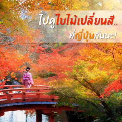 15 สถานที่สุตฮิตที่นิยมดูใบไม้เปลี่ยนสีที่ญี่ปุ่น