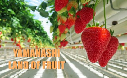 ยามานาชิเมืองแห่งผลไม้