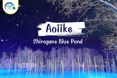 Aoiike Winter season ความเงียบงามของบ่อน้ำสีฟ้าแห่งฮอกไกโด