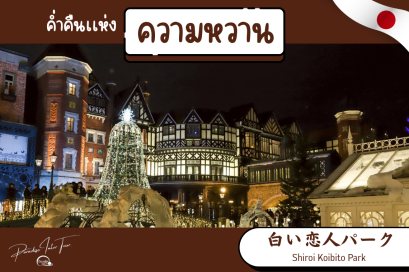 โรงงานช็อคโกเเลต Shiroi Koibito Park ในยามค่ำคืน 