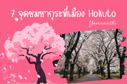 รวม 7 จุดชมซากุระสวยที่สุดในเมือง Hokuto จังหวัด Yamanashi