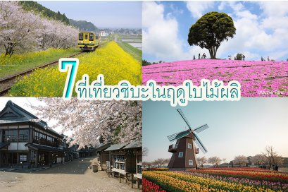 7ที่เที่ยวชิบะในฤดูใบไม้ผลิ