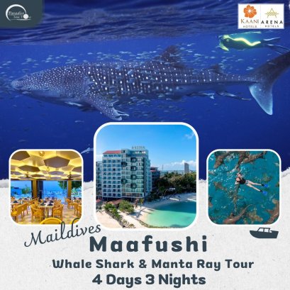 ทัวร์มัลดีฟส์:  Maafushi Maldives + Whal shark & Manta Ray 4D3N