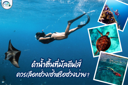 ดำน้ำตื้นที่มัลดีฟส์: ควรเลือกช่วงเช้าหรือช่วงบ่าย? 