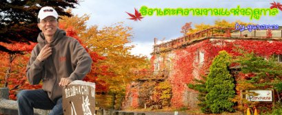 อิวาเตะความงามแห่งฤดูกาล