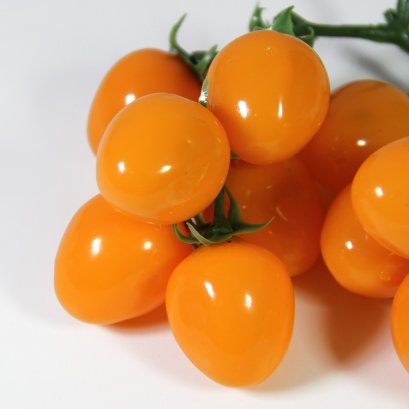Tomatoes (Yellow)