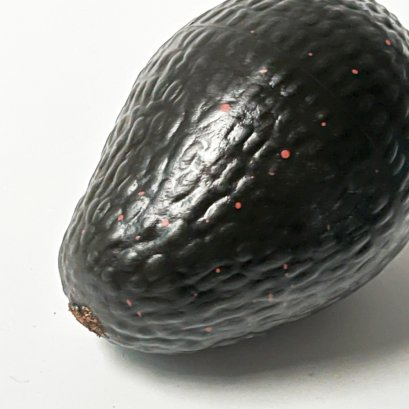 Full Avocado Model