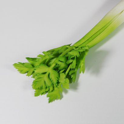 Celery