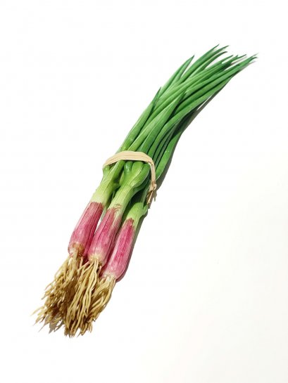Spring Onion