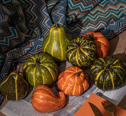 Variety Pumpkin Model
