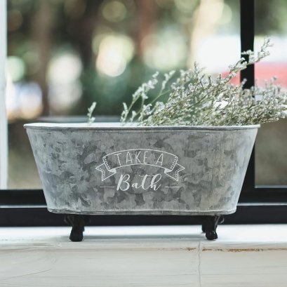 IRON Pail Plant Decor