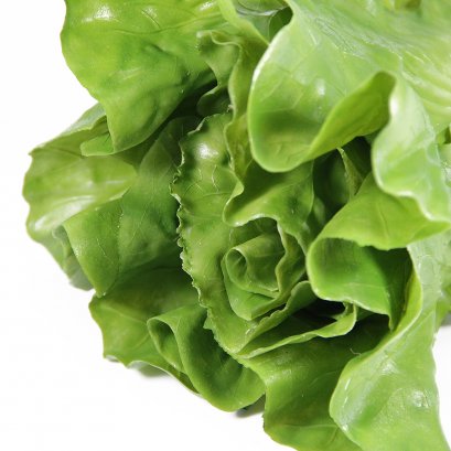 Artificial COS (Green)