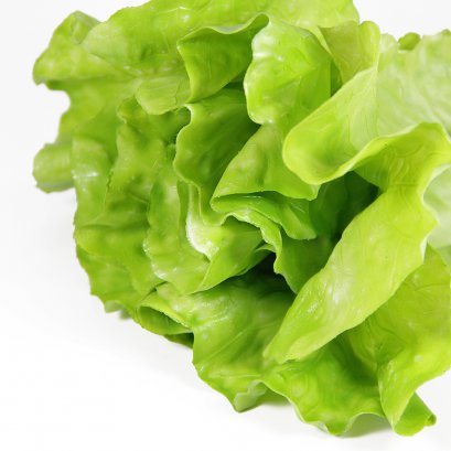 Artificial COS (Light Green)