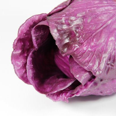 Purple Cabbage