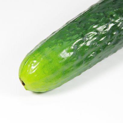 Cucumber