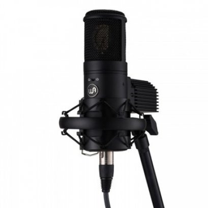 Warm Audio WA-8000 Large-diaphragm Tube Condenser Microphone