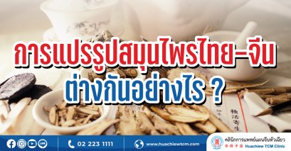 การแปรรูปสมุนไพรไทย-สมุนไพรจีน ต่างกันอย่างไร?
