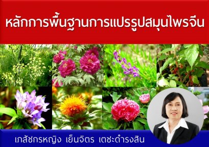 หลักการพื้นฐานการแปรรูปสมุนไพรจีน