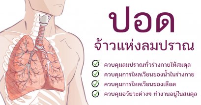 ปอด (肺 เฟ่ย์) อวัยวะละเอียดอ่อน จ้าวแห่งการเคลื่อนไหวลมปราณทั่วร่างกาย