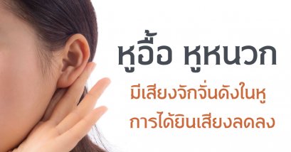 หูอื้อ หูดับ มีเสียงในหู 