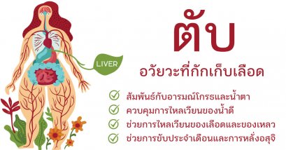 ตับ (肝 กาน) ทะเลของเลือดในร่างกายมนุษย์