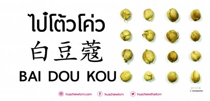 ไป๋โต้วโค่ว 白豆蔻 : ข้อมูลสมุนไพรจีน