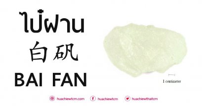 ไป๋ฝาน 白矾 : ข้อมูลสมุนไพรจีน