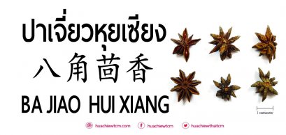 ปาเจี่ยวหุยเซียง 八角茴香 - ข้อมูลสมุนไพรจีน
