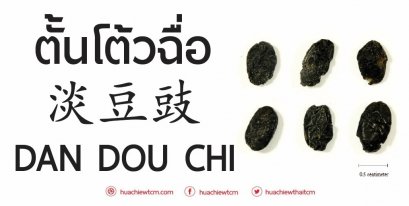 ตั้นโต้วฉื่อ 淡豆豉 -  ข้อมูลสมุนไพรจีน