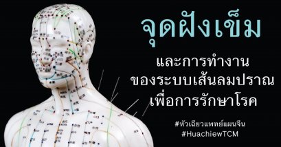 จุดฝังเข็มและการทำงานของระบบเส้นลมปราณเพื่อการรักษาโรค