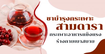 อาหารเพื่อสุขภาพ : ชาบำรุงกระเพาะสามดารา กระเพาะอาหารแข็งแรง ร่างกายเบาสบาย
