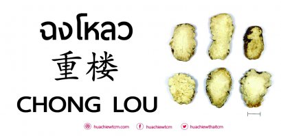ฉงโหลว 重楼 ：ข้อมูลสมุนไพร