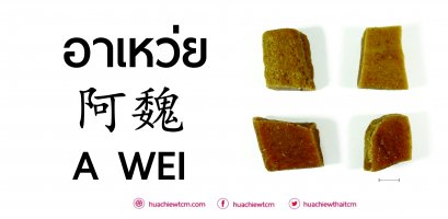อาเหว่ย 阿魏 : ข้อมูลสมุนไพร