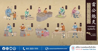 การแปรรูปสมุนไพรจีน