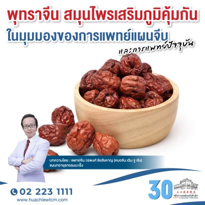 พุทราจีน สมุนไพรเสริมภูมิคุ้มกันในมุมมองของการแพทย์แผนจีนและการแพทย์แผนปัจจุบัน