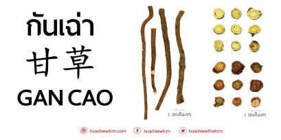 กันเฉ่า 甘草 - ข้อมูลสมุนไพรจีน