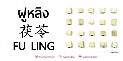 ฝูหลิง 茯苓 ：ข้อมูลสมุนไพร