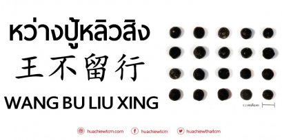หว่างปู้หลิวสิง 王不留行 : ข้อมูลสมุนไพรจีน