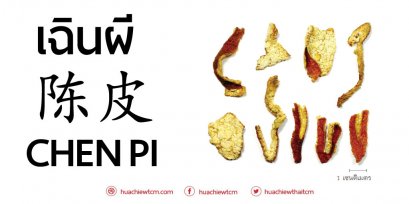 เฉินผี (陈皮)  - ข้อมูลสมุนไพรจีน
